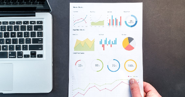 Person Holding Chart And Bar Graph