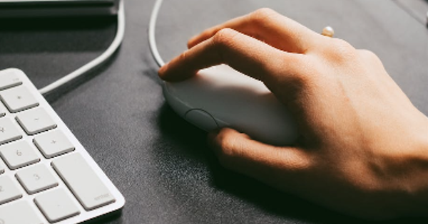 Person Holding Computer Mouse