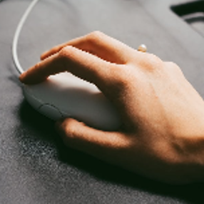 Person Holding Computer Mouse